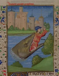 Jonah and the Whale, from the Bible of Jean XXII