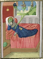The Tree of Jesse (from the Bible of Jean XXII)