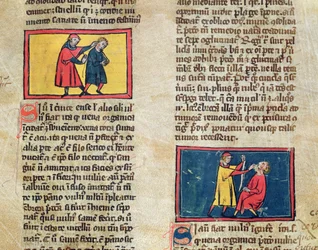 Doctors and patients, from an edition of Book of Surgery by Rogier de Salerne