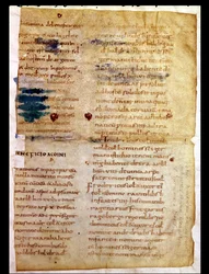 Inventory of Carolingian property ownership, from the Polyptych of the Abbot Irminon of Saint-Germain-des-Pres