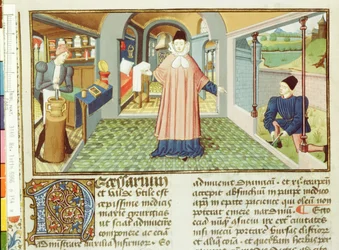 Cutting plants and preparing medicine, from L