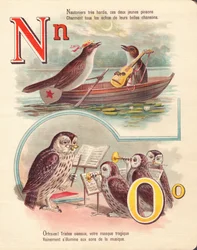 Nightingale, navigation, owl, orchestra
