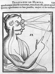 Ophthalmology: The Eye and the Sight - from 