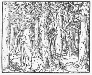 Page from "Discourse on the Dream of Poliphile", by Francesco Colonna, 1546