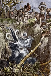 Paleolithic: mammoth hunting scene, a tribe of prehistoric men throw stones at a mammoth that falls into a pit (Paleolithic times: European cavemen hunting a mammoth that fell into a pit), engraving of the 19th century, private collection