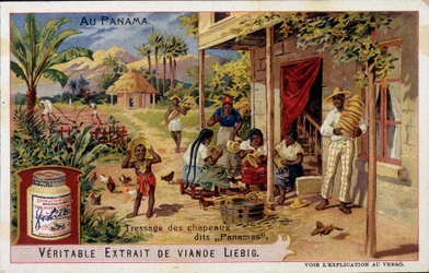 Panama: braiding panama hats (chromo. Liebig)