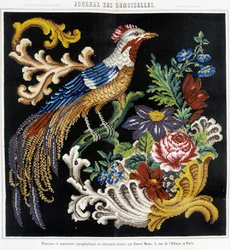 Pattern for cross stitch embroidery (bird of paradise) - in Journal des Demoiselles 1852