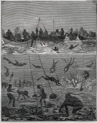 Pearl fishers in Ceylon (present-day Sri Lanka) in the 19th century. Engraving from 1885 in Les arts et metiers illustres by Adolphe Bitard.