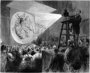 Photographic projection of a phylloxera during a conference of the exhibition of insects