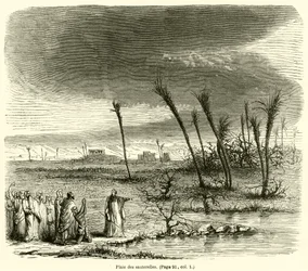 Plague of Locusts