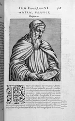 Portrait of Amerigo Vespucci