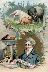 Portrait of Baron Georges Cuvier, French zoologist and paleontologist (1769-1832), founder of comparative anatomy