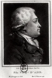 Portrait of Felix Vicq d