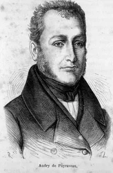 Portrait of Pierre Francais Audry de Puyraveau