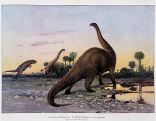 Prehistoric animals: a laelaps attacking a brontosaurus - in The Universe and Humanity