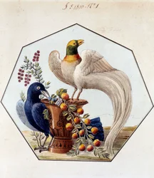 Project for the Table of Birds in Porcelain by Alexandre Brongniart. 1810 Sevres, Archives of the Manufacture de Sevres