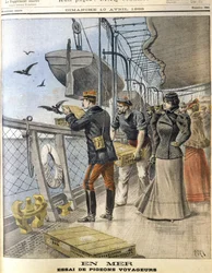 Releasing French Army Homing Pigeons on Board the Transatlantic Liner La Bretagne Between Le Havre and New York