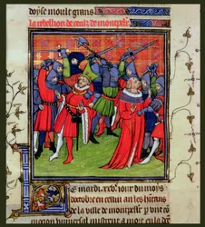 Revolt at Montpellier