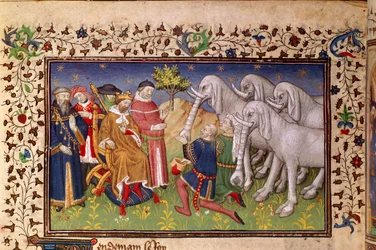 Alexander given white elephants, from 