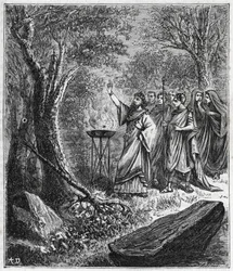 STRUFERTARI (festival in ancient Rome to purify the blasted trees) - Engraving in Sciences brought to the grasp of all - popular physics and chemistry by Alexis Clerc - End of 19th century. Private collection.