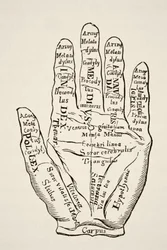 Specimen of the left hand with the lines and their horoscopic denominations, from "Science and Literature in the Middle Ages" by Paul Lacroix, published in London 1878