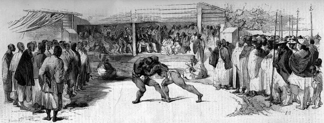 Sports Competition