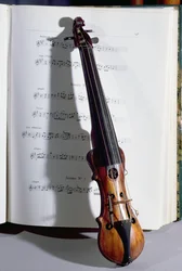 Stringed instrument of a dance master