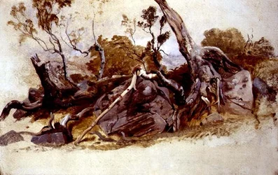 Study of Trees, c.1825
