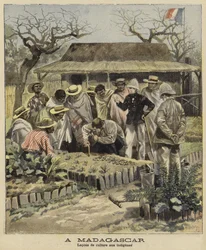 Teaching Natives Agricultural Techniques, Madagascar, 1897