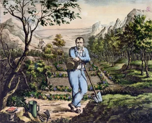 The Gardener of St. Helena