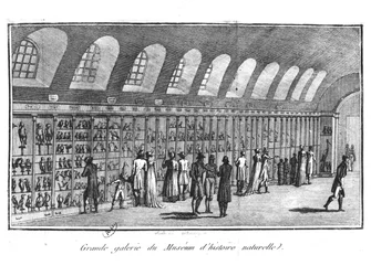 The Great Gallery of the Museum of Natural History in Paris