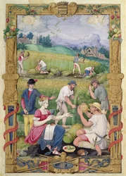 The Month of August: The Harvest