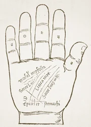 The Right Hand, Principal Lines, copy of an illustration from Chiromantia by Ioannes ab Indagine, 1531, used in a History of Magic, published late 19th century