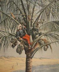 The Spanish American War