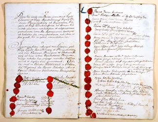 The Treaty of Ryswick, 30th October 1697