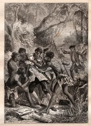 The adventure of Barre: Companion of botanist Philibert Commerson, Jeanne Barret passes as his valet, under the name of 