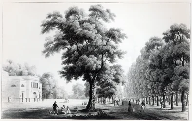 The Main Avenue in the Prater, Vienna, 1821