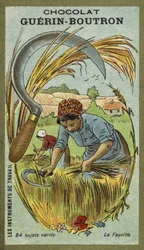The Sickle