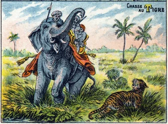 Tiger hunting scene on the back of an elephant. Syllabar alphabet of hunts Imaging of Epinal