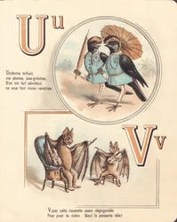 Urubu, uniform, vampire, violin