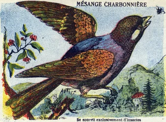 Unknown Image