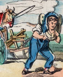 Upside Down World: Oxen Driving Plough Pulled by Farmer