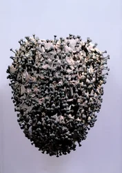 Veal heart pricked with pins, found c.1900 in a tomb in Montmartre cemetery, Paris