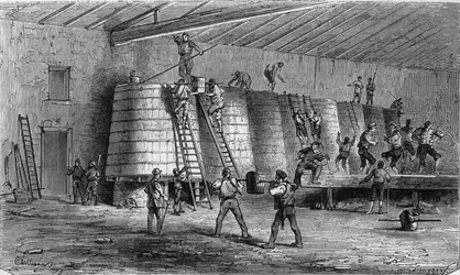 Viticulture in Medoc: crushing and putting into vats. Engraving in "Le Monde Illustre" n°561 of 11 January 1868.