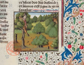 Waiting for Deer Hiding in a Tree, from the Livre de la Chasse by Gaston Phebus