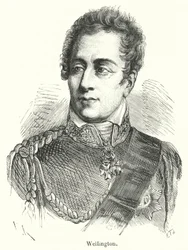 Wellington (engraving)