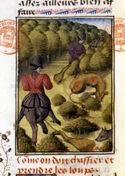 Wolf Hunt, from 