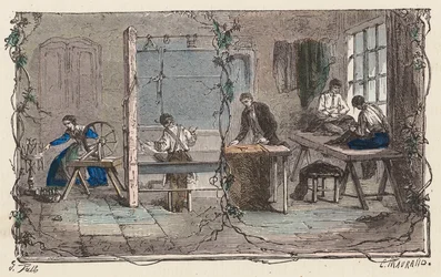 Working with Wool