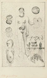 Frida and the Miscarriage