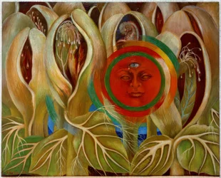 Sun and Life